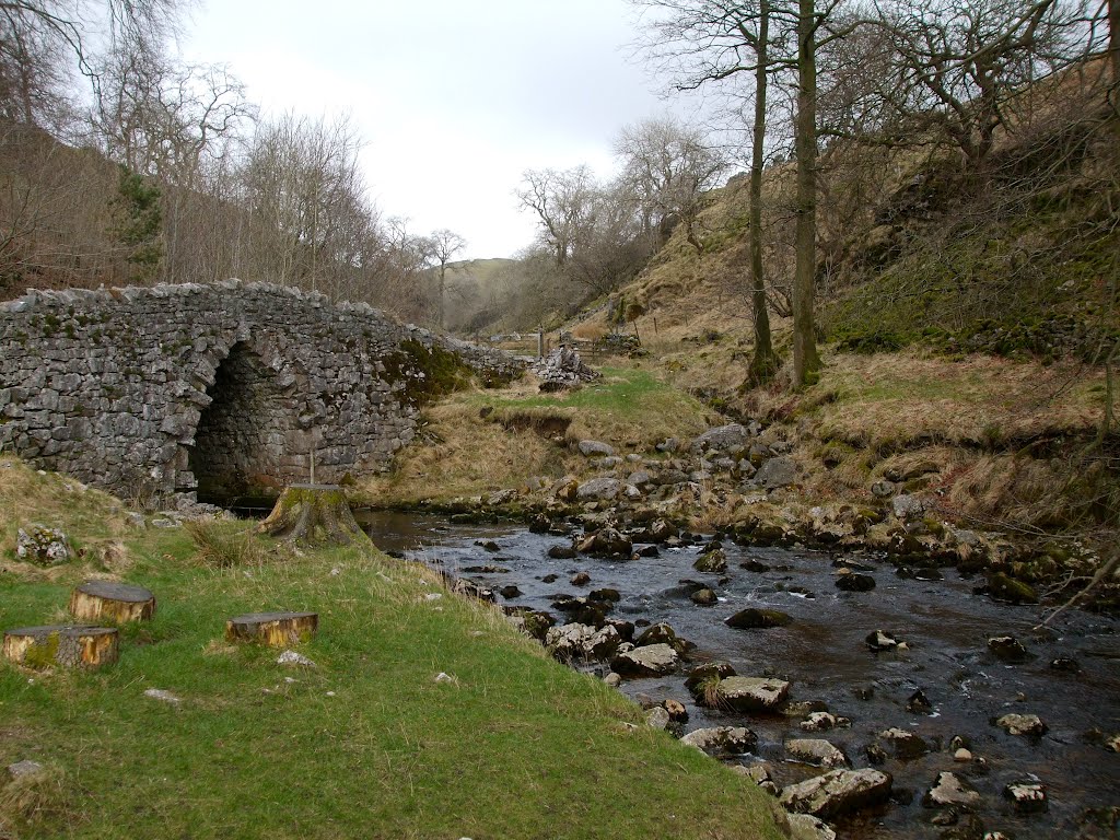 Bridge over Clapdale Beck by rustyruth