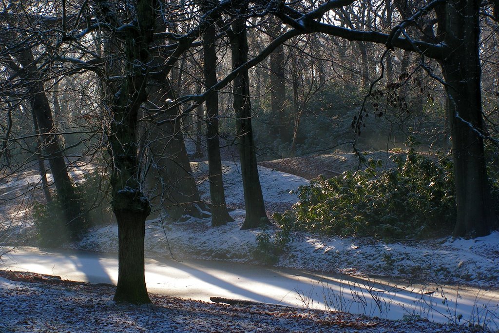 Winter in a park by tomidery