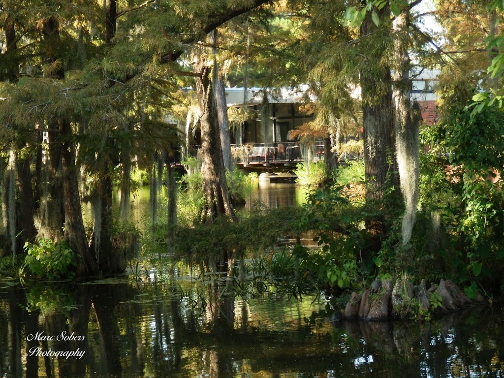 Guillory Hall, UL Lafayette by Mr. Pics