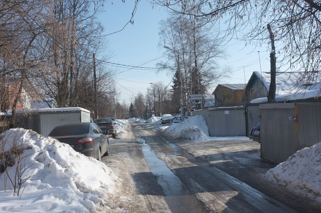 Опалиха. Папанина улица. Весна. Opaliha. Papanina street. Spring by Roman A. Sergeev