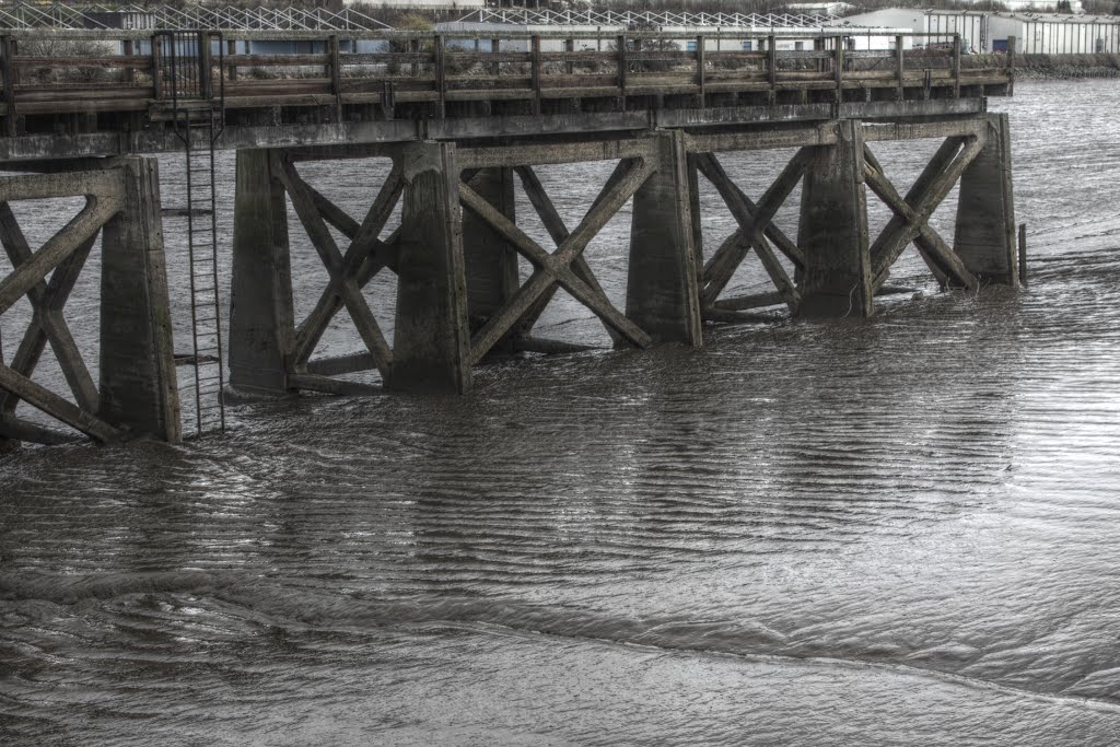 Banks of Tyne by LeBizarre