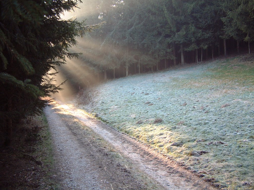 Near Aufham - December 2007 by Serge.Savchuk