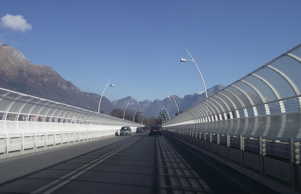 Belluno, República Italiana by Angelo Carlos Ronchi