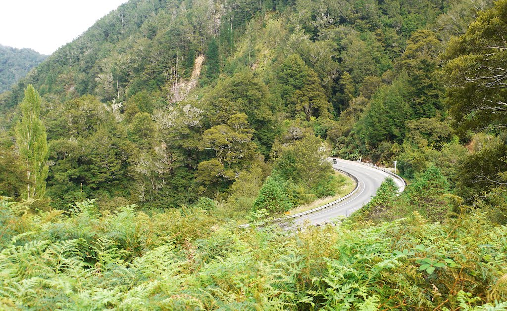 Upper Buller Road, Lyell, near Inangahua, West Coast by Linbery