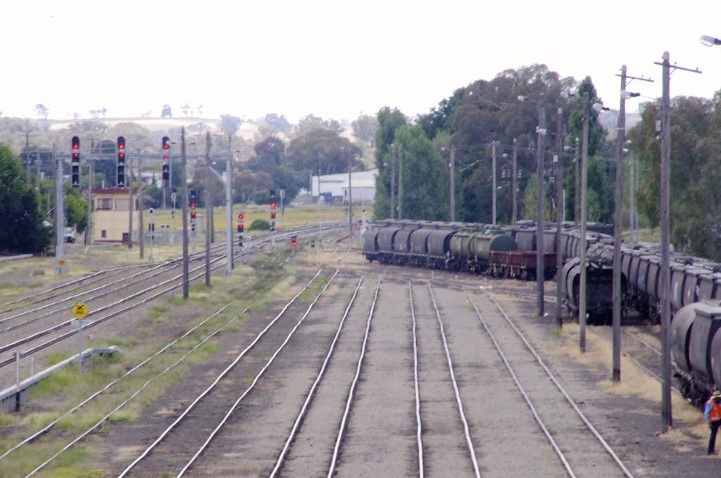 Crooked Lines at Cootamundra by snucklepuff