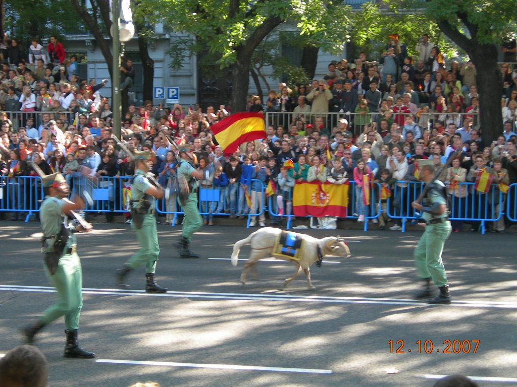 Desfile militar 07 by servicios abel