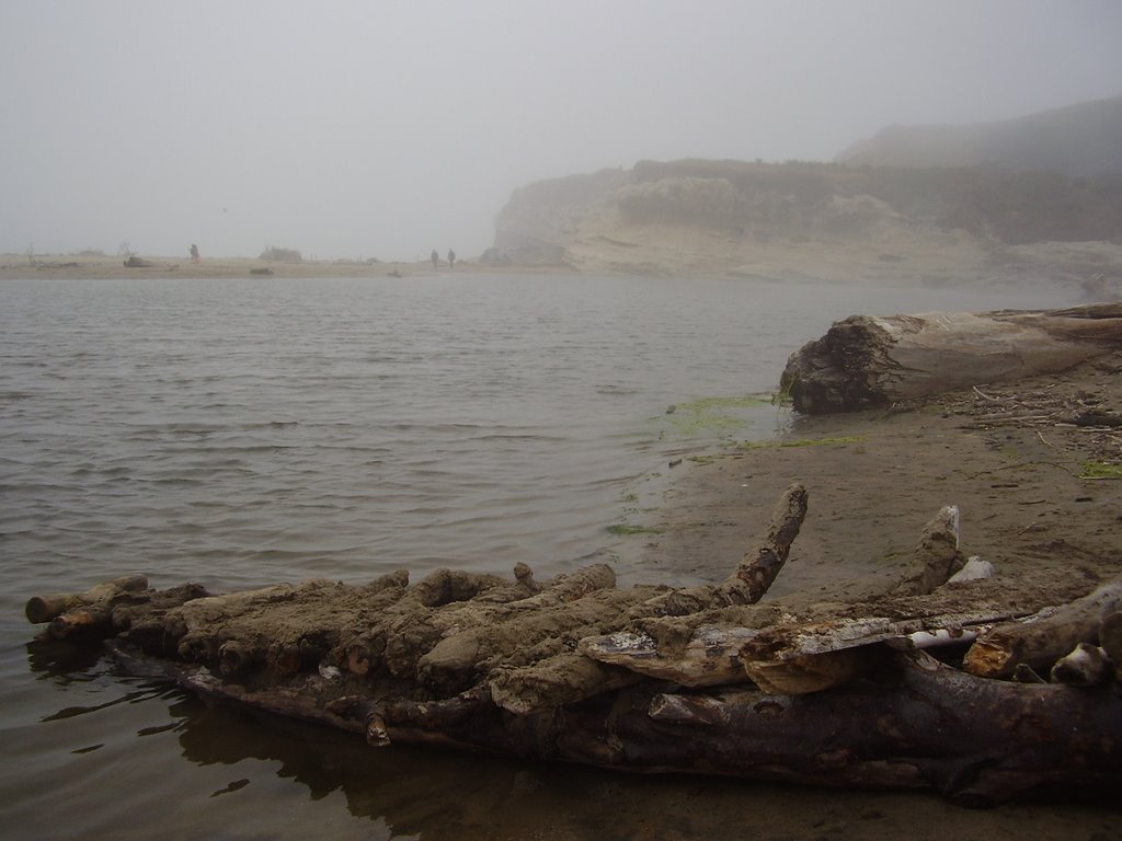 What a magic foggy beach... by Jakub Simane