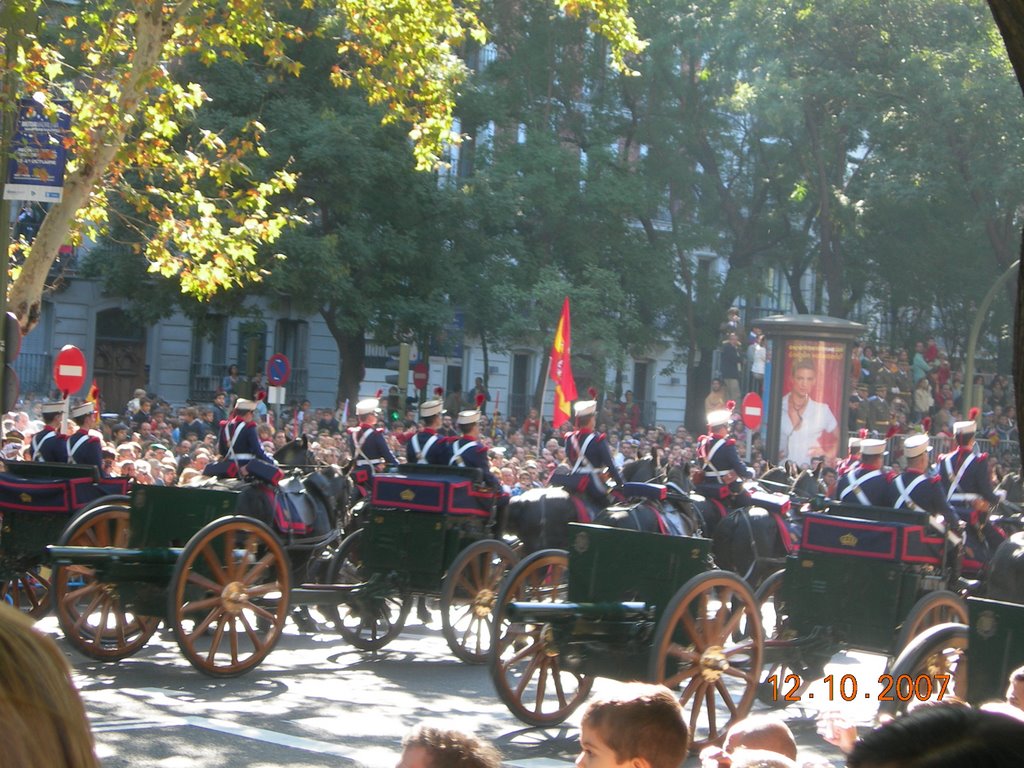 Desfile militar 07 by servicios abel