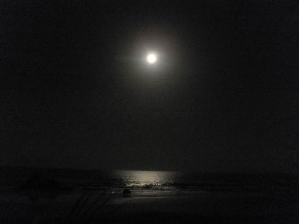 Agonda beach in the moonlight by Brian Pinheiro