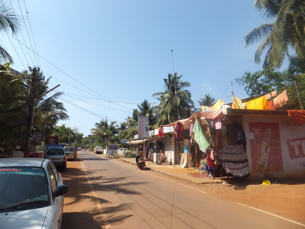 Agonda Beach road by Brian Pinheiro