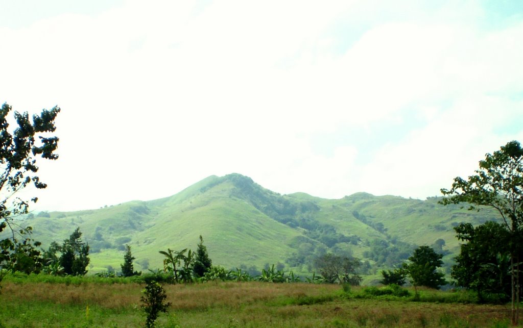 Balubal farm landscape (SW, Dec 2007) by Ronnie Muring