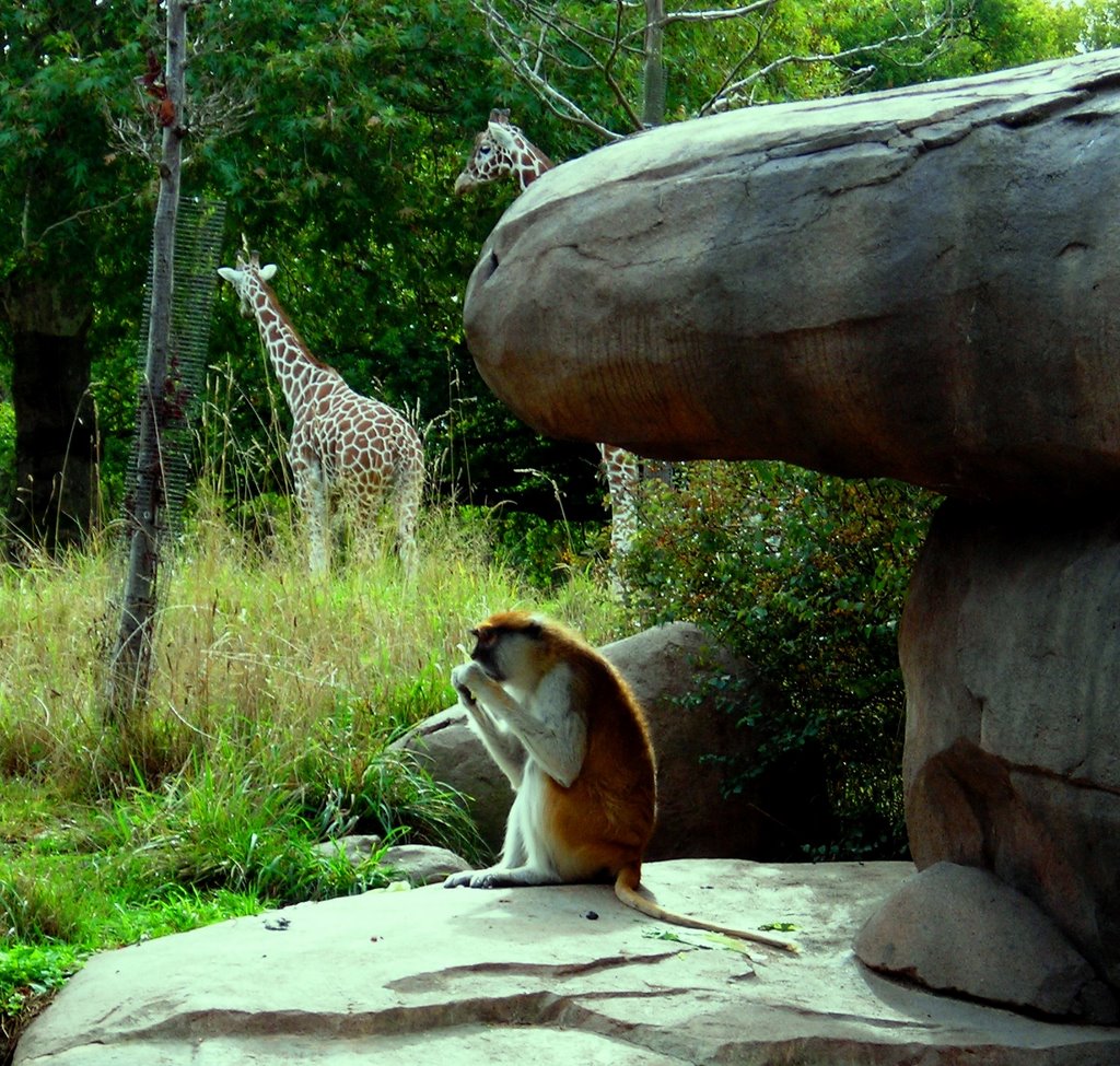 Woodland Park Zoo - Seattle, Washington USA - 08 Oct 2007 by WestSeattleTrvlr