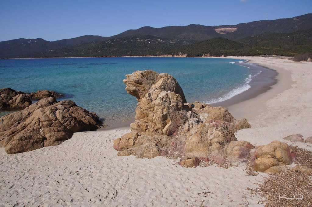 La plage de Cupabia by kinet jean jacques