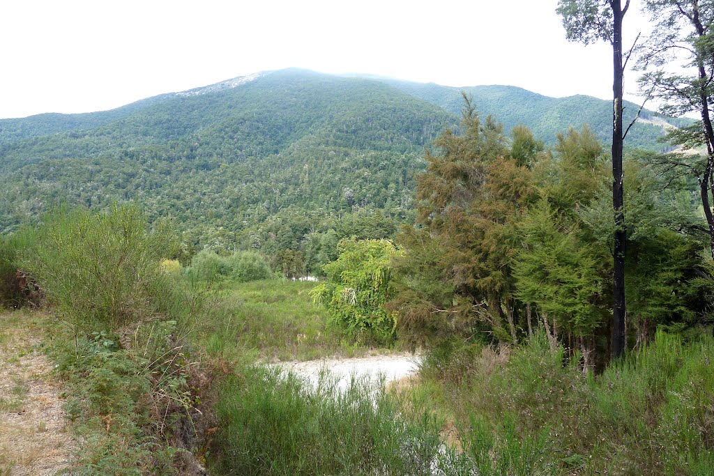 Buller Valley, near Owen River, Tasman by Linbery