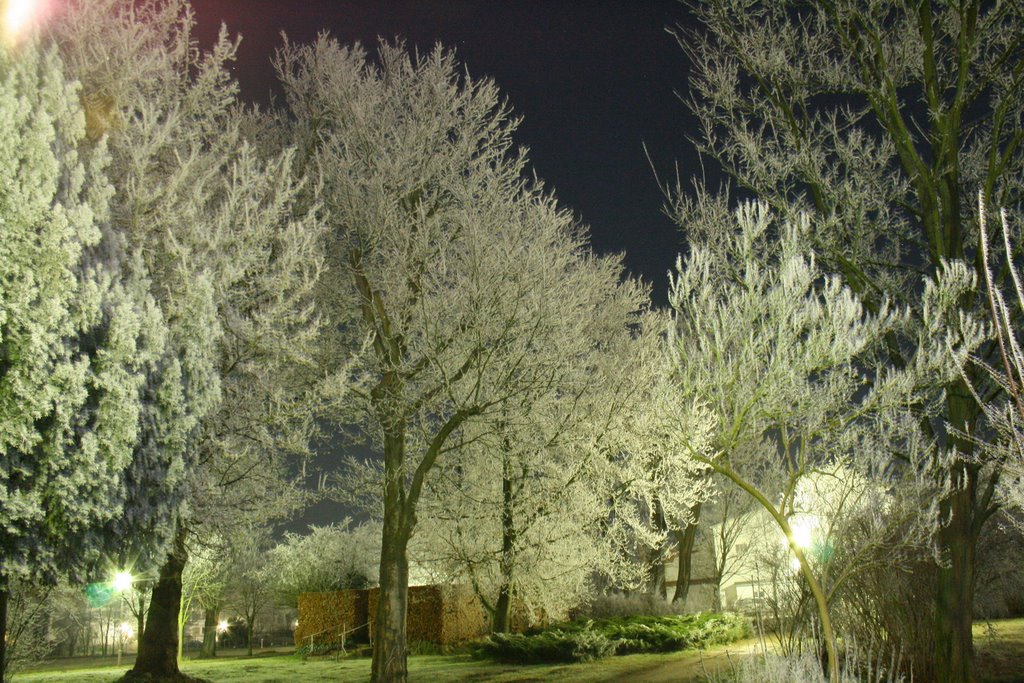 Winter evening bei Erholungsheim by Rafael B.