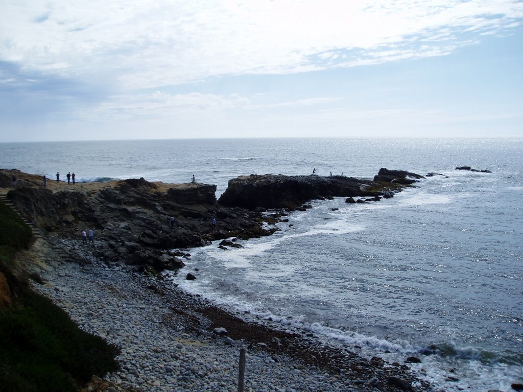 Pescadero Beach Cliff by Jakub Simane