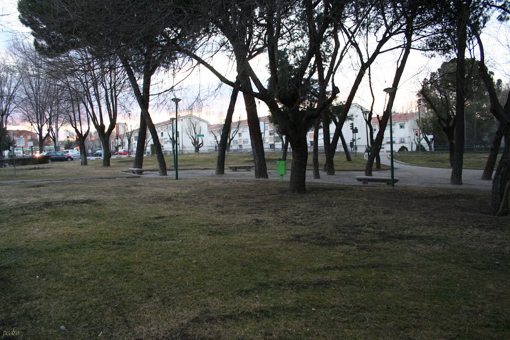 Parque Prados de Torrejon by pefrafra