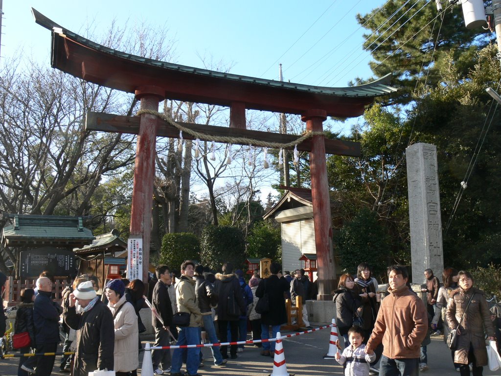 鷲宮神社　鳥居 by lamyu