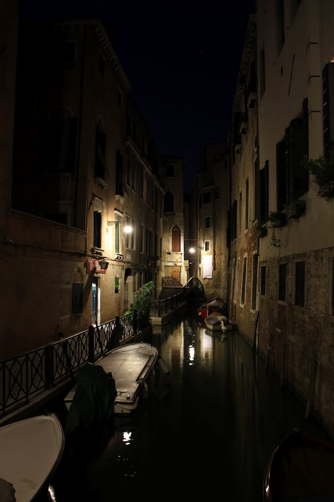 Venice at Night by ags83642