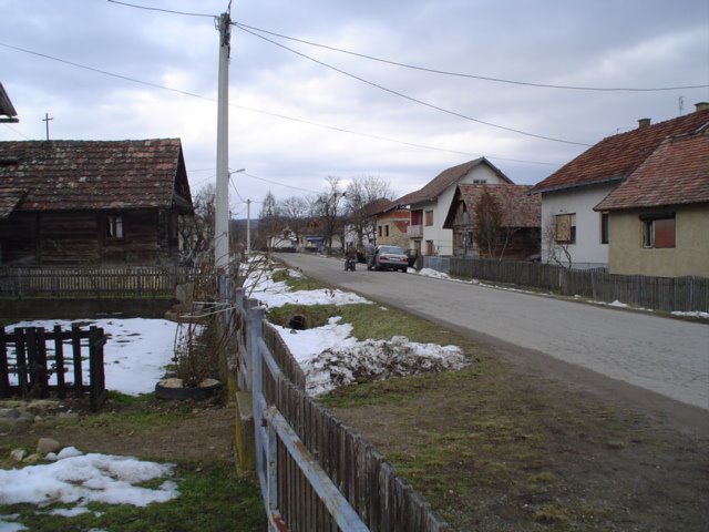 Borojevići, kod Hrvatske Kostajnice by Miro Pavić