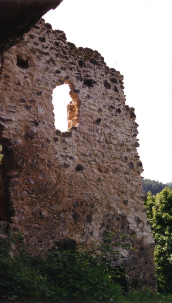 Ruine Loch by scho