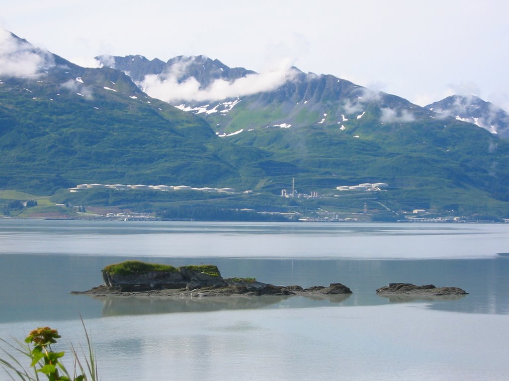 View of the Pipeline terminal from Valdez by alex&ju