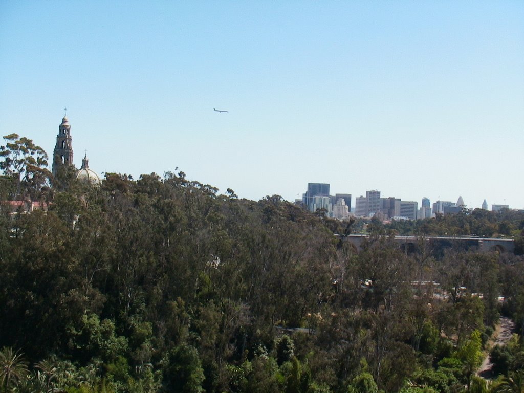 view over balboa park to downtown by henky13