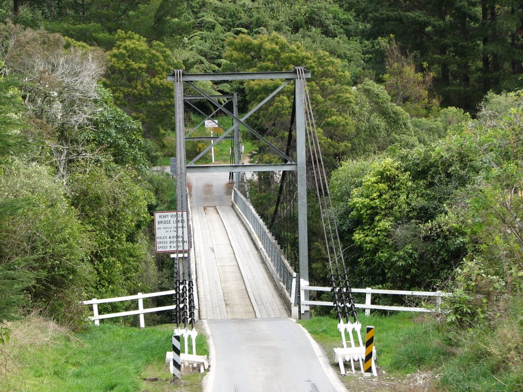 Swing Bridge near Otaki by mountainman