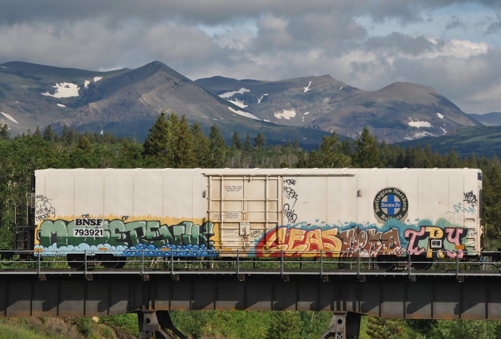 ( On Two Medicine Trestle East Glacier MT. ) by Loco's Loco Co.