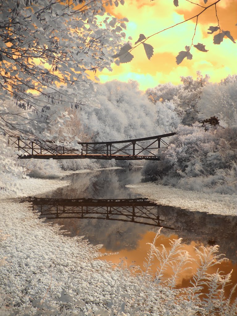 Forest Park Bridge by Jane Linders