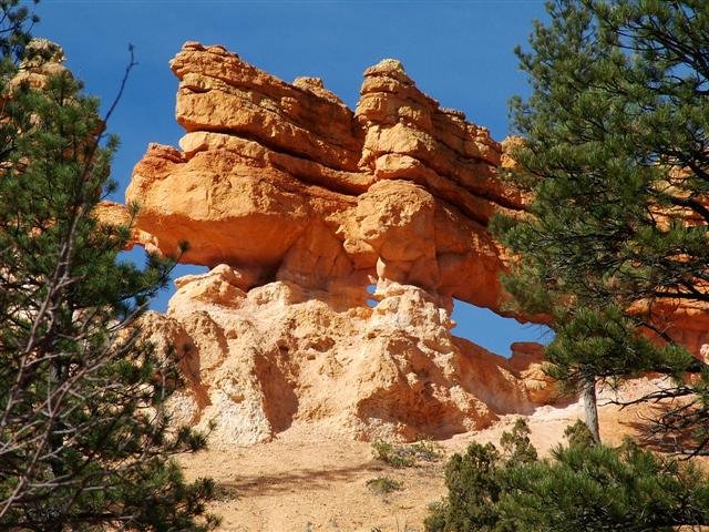 Mossy Cave Trail, Bryce Canyon National Park by Steve Schmorleitz, NationalParkLover.com