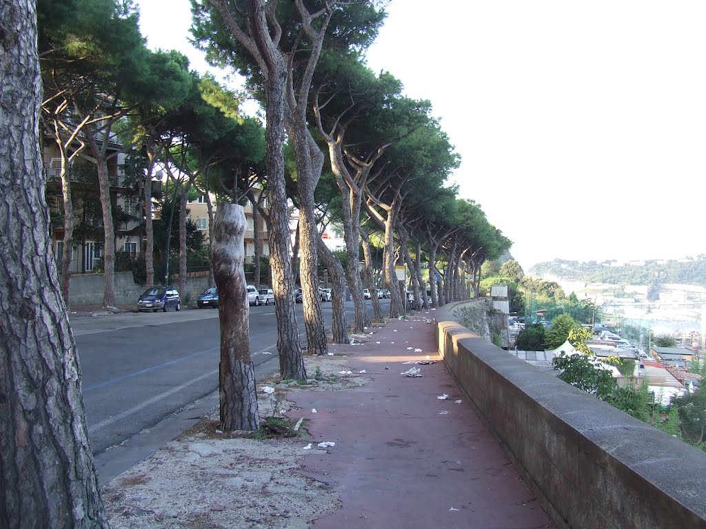 Italy. Naples (68353760) by Viktor Bakhmutov