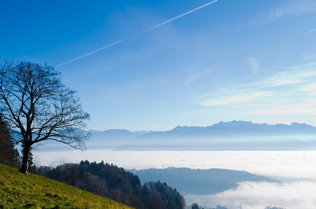 Nebelmeer am Bachtel by z0df