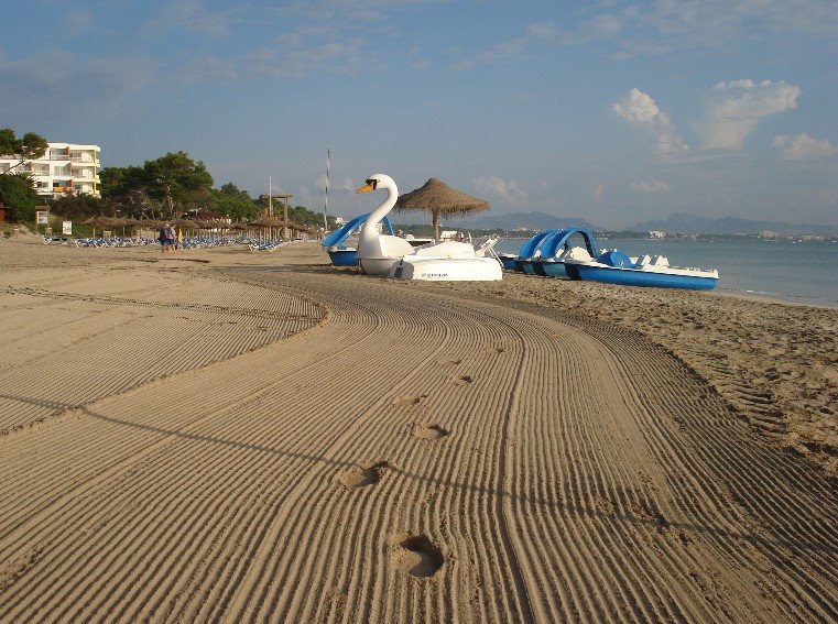 Swan Pedalo by Tony Wilson