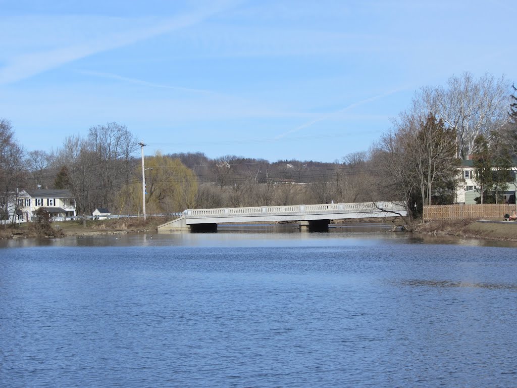 Halstead Street Bridge by Adam Elmquist