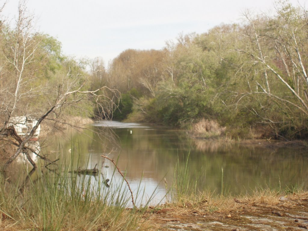 Rio Tajo (Jardines del Principe) by ALMARTIN