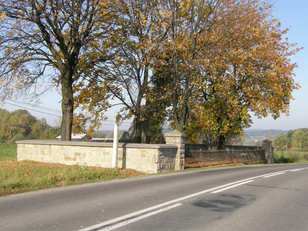 WWI Military Cemetery no: 95- Stróżówka by Kozik tawiko