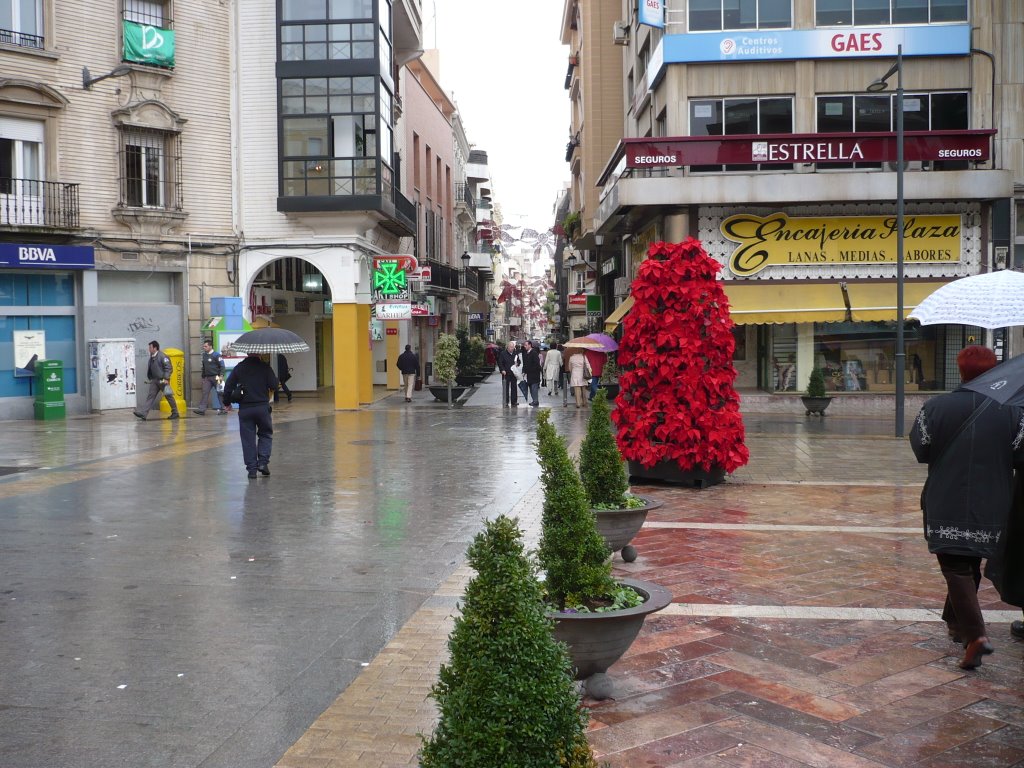 Urban Scenes. Another view of Las Monjas street by raulmoba