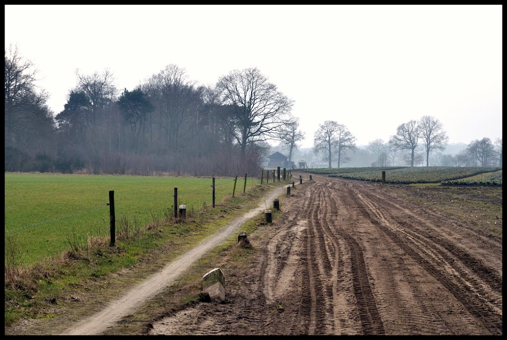 Korenburgerveenweg by Jan Visser