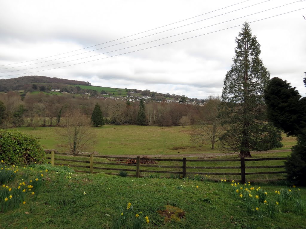 Parke Nr Bovey Tracey by Andrew(ollie)Johnson