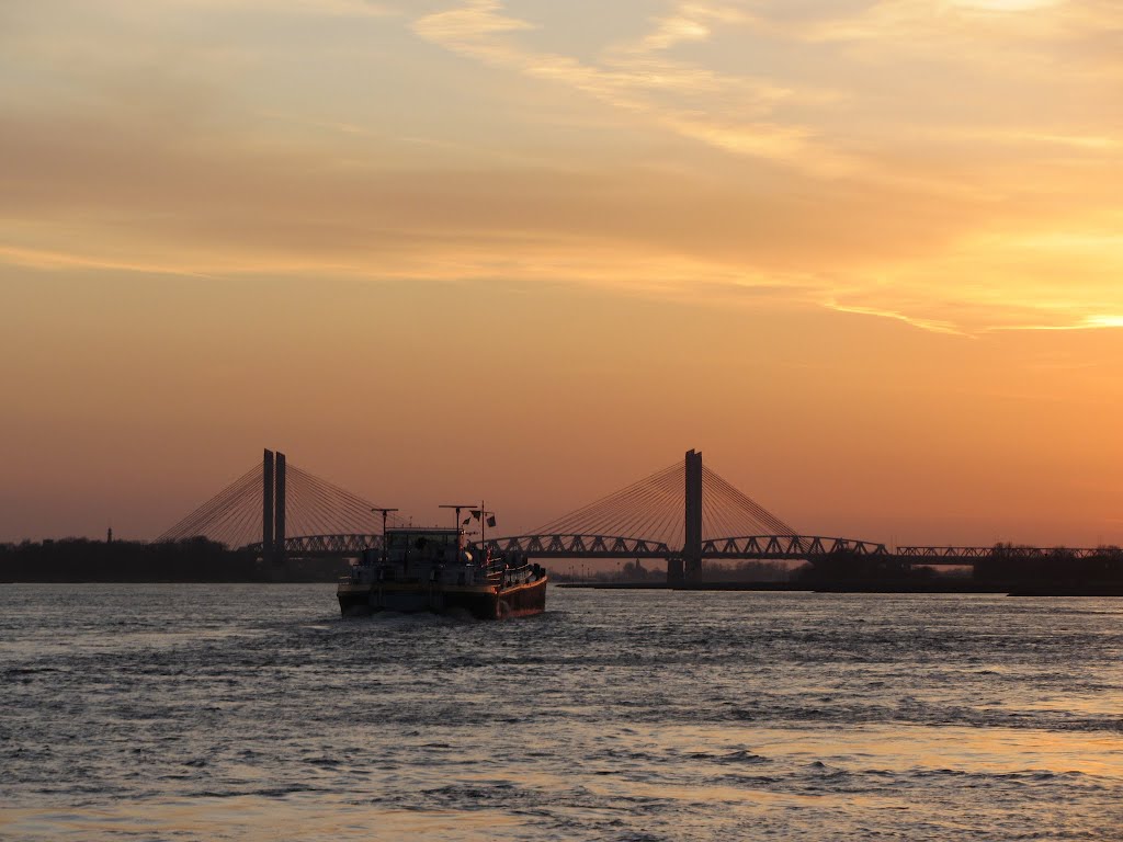 Sunset near Opijnen - Bridge over the river Waal by green desert