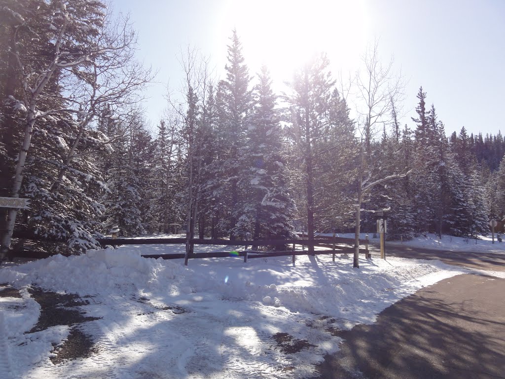 Very nice day in front of Cabin Waiporous Valley! 2012. by Tony Sterl