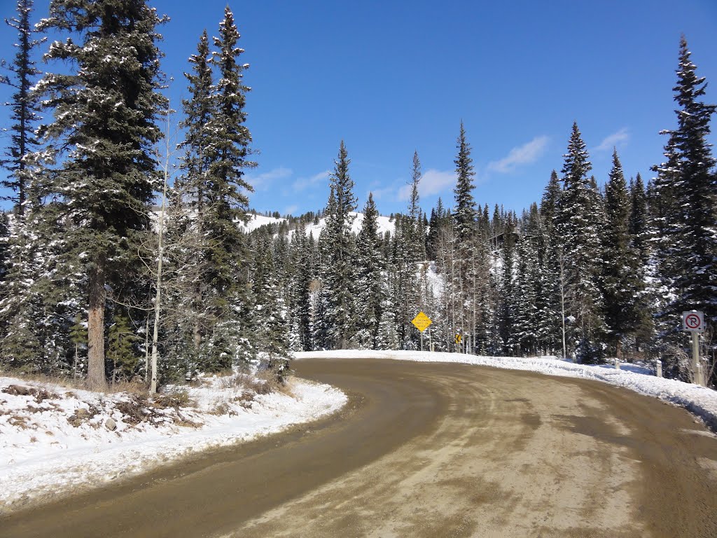 Waiporous Valley in winter time March/2012. by Tony Sterl