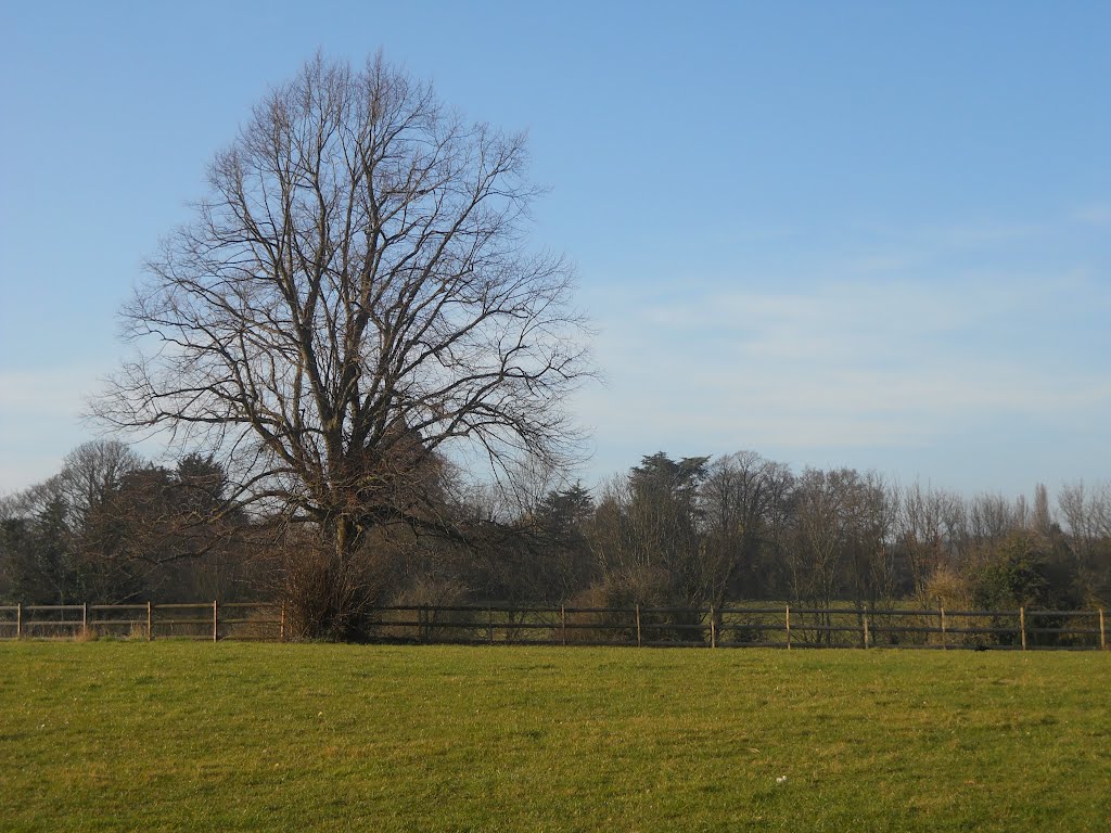 The open field by Robert'sGoogleEarthPictures