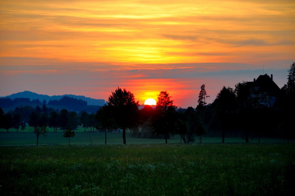 Am Ende des Tages by Dieter Hockertz