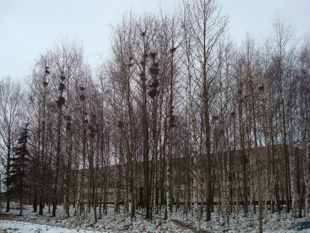 Shaburnovo / Шабурново - Escuela by maracuyya