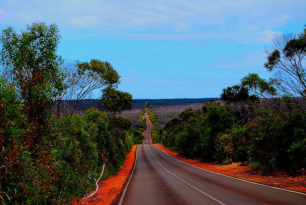 SOUTH WEST HWY KANGAROO ISLAND by australien67h