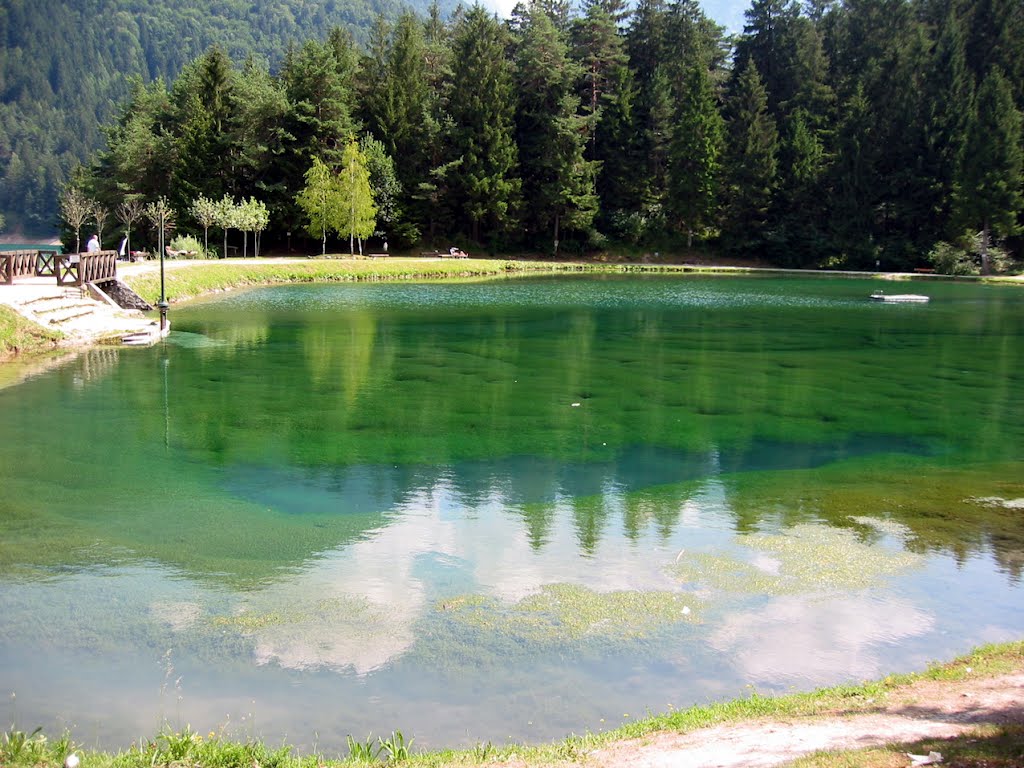 Riflessi sul laghetto di pesca sportiva, presso il Lago di Centro Cadore (2004) - Reflections on the fishing lake at the Lake Cadore Center (2004) by maurizio-VE-2943