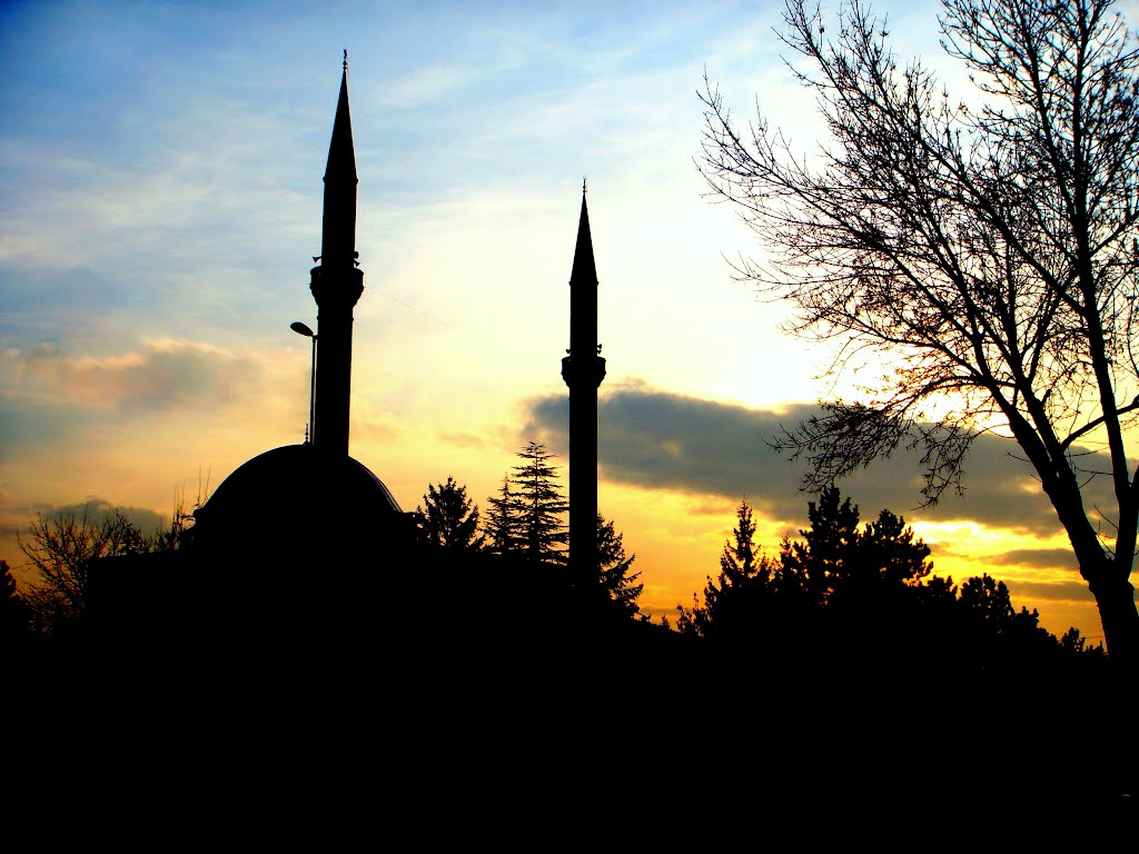 Mosque*** by Mehmet Türkay