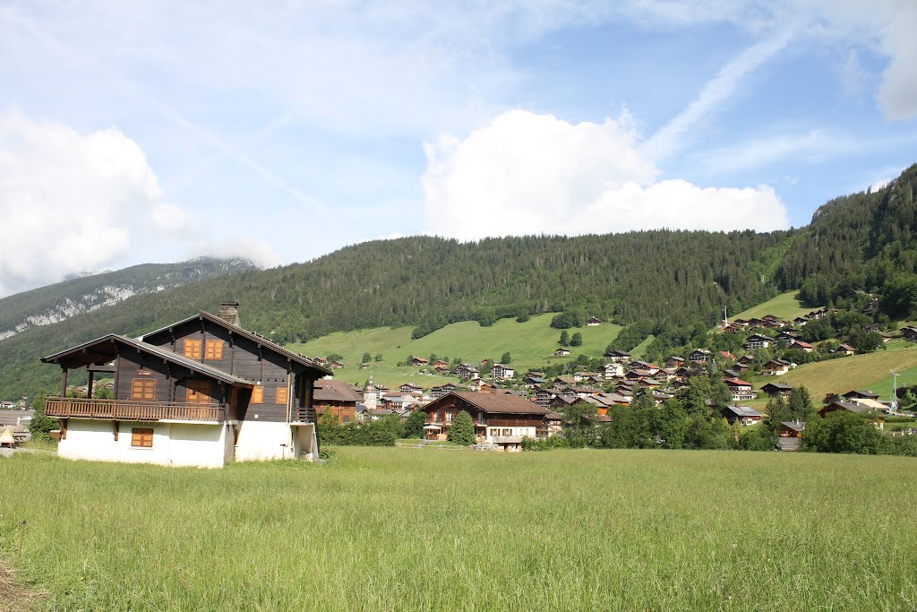 Le Grand Bornand, France, 24-06-2011 by pjrinkel